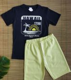 Conjunto Hawaii